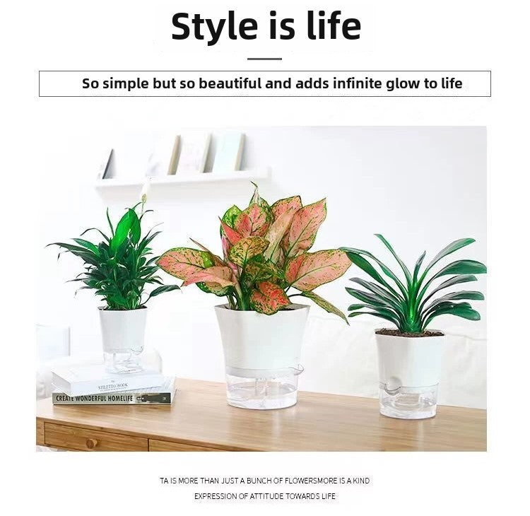 Modern Hexagon Self-Watering Plant Pot – Sylish Geometric Design | Plant Mate