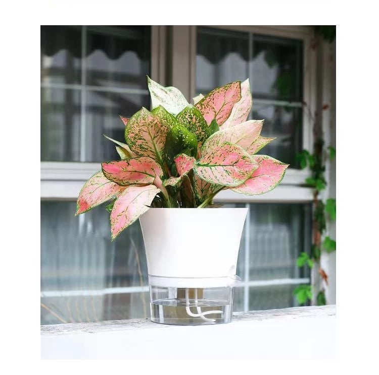 Modern Hexagon Self-Watering Plant Pot – Sylish Geometric Design | Plant Mate
