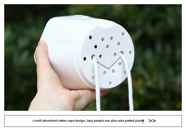 Modern Hexagon Self-Watering Plant Pot – Sylish Geometric Design | Plant Mate