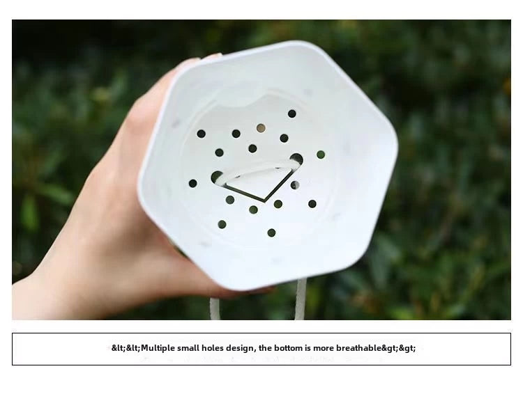 Modern Hexagon Self-Watering Plant Pot – Sylish Geometric Design | Plant Mate