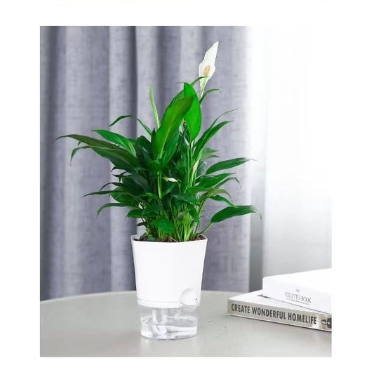 Modern Hexagon Self-Watering Plant Pot – Sylish Geometric Design | Plant Mate