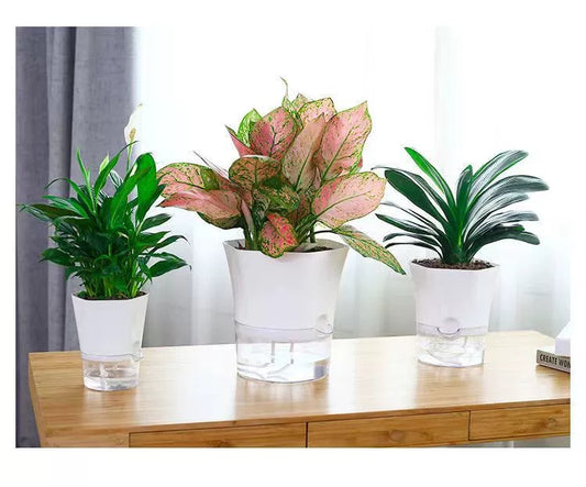 Modern Hexagon Self-Watering Plant Pot – Sylish Geometric Design | Plant Mate