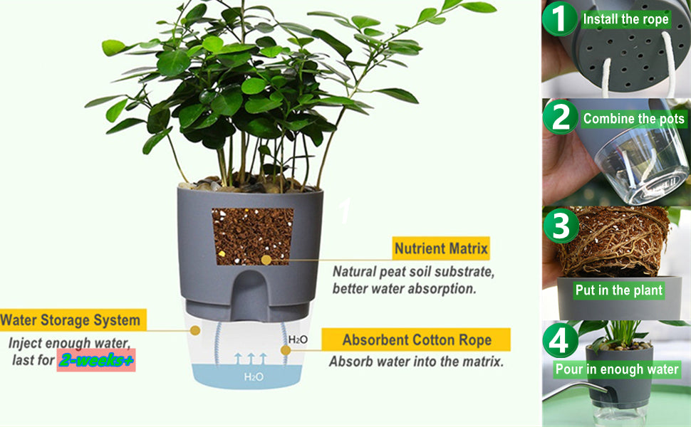 Popular Self-Watering Pots – Modern Planters with See-Through Base | Plant Mate
