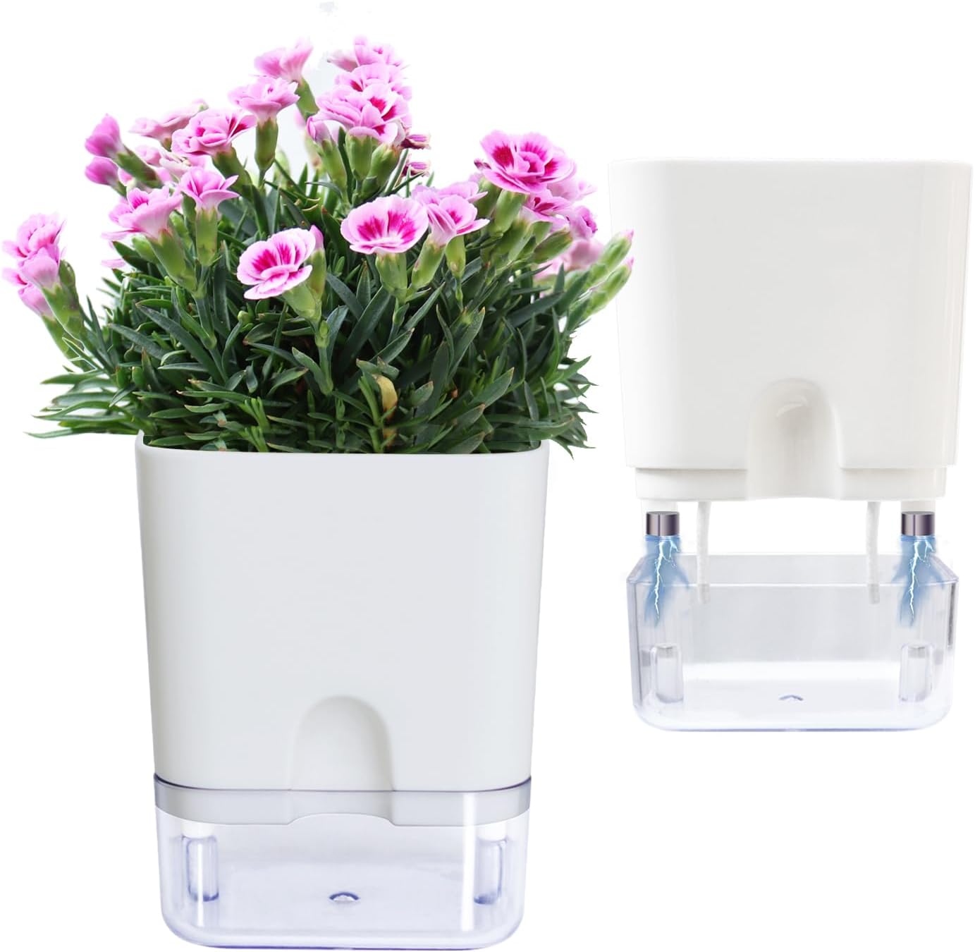 Self-Watering Pots – Clear Magnetic Base Planters with Built-In Wicking System | Plant Mate