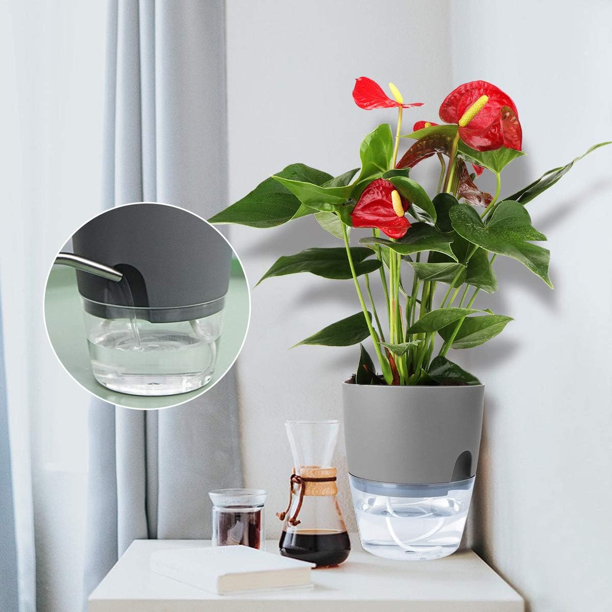 Popular Self-Watering Pots – Modern Planters with See-Through Base | Plant Mate