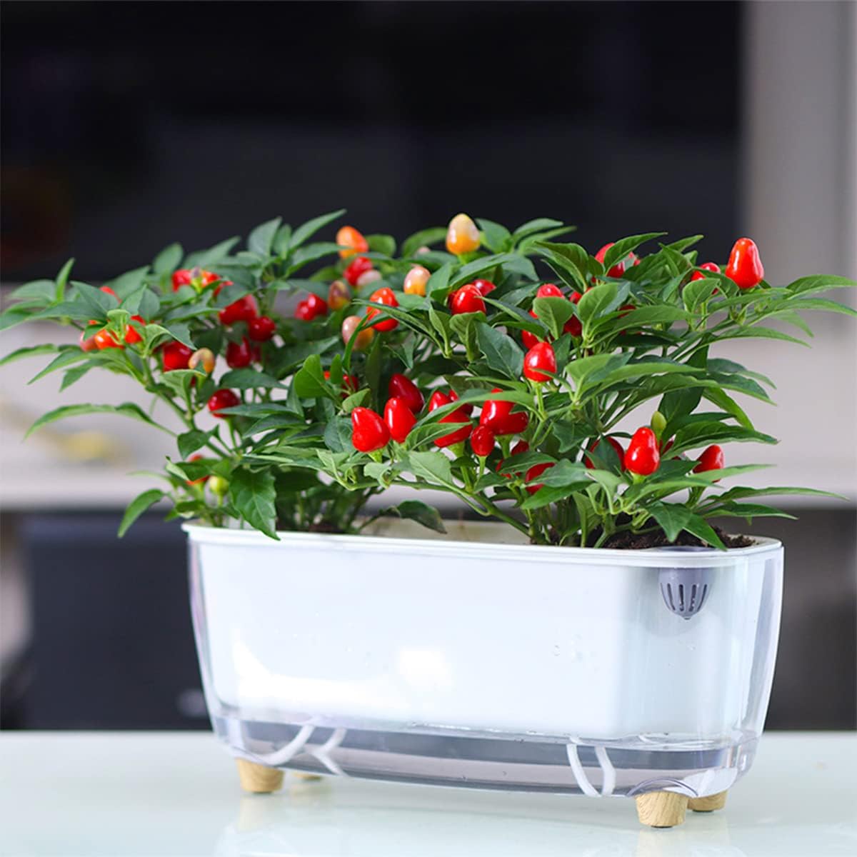 Stylish Modern Self-Watering Planter – 2 Contemporary Designs | Plant Mate