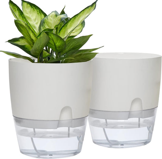 Popular Self-Watering Pots – Modern Planters with See-Through Base | Plant Mate