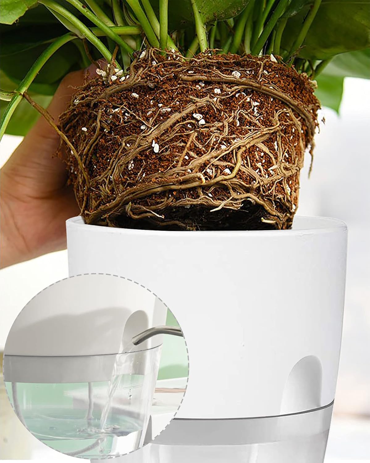 Popular Self-Watering Pots – Modern Planters with See-Through Base | Plant Mate