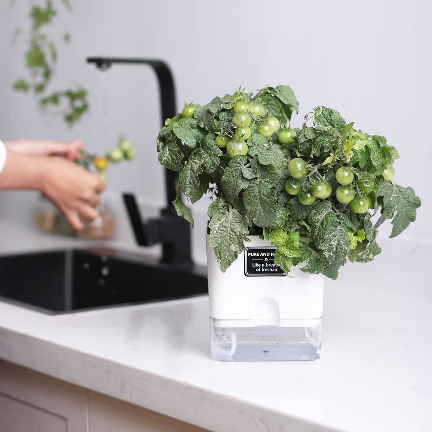Self-Watering Pots – Clear Magnetic Base Planters with Built-In Wicking System | Plant Mate