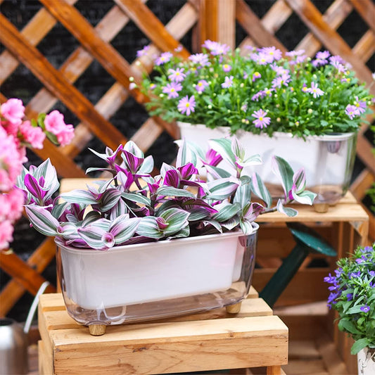 Stylish Modern Self-Watering Planter – 2 Contemporary Designs | Plant Mate