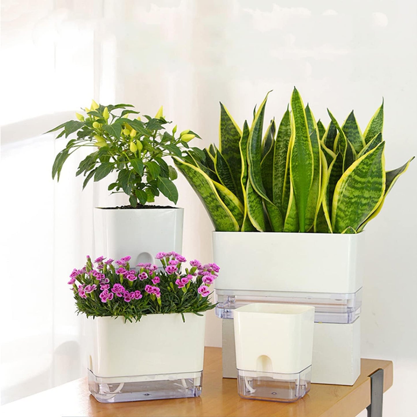 Self-Watering Pots – Clear Magnetic Base Planters with Built-In Wicking System | Plant Mate