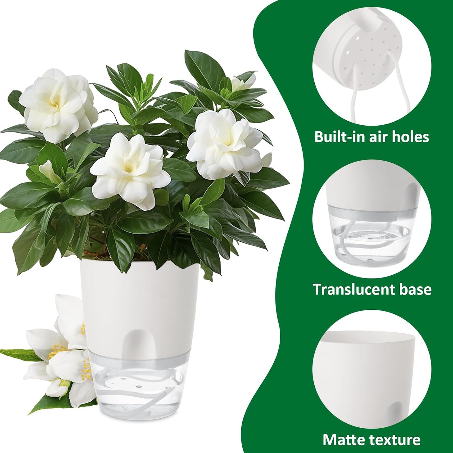 Popular Self-Watering Pots – Modern Planters with See-Through Base | Plant Mate