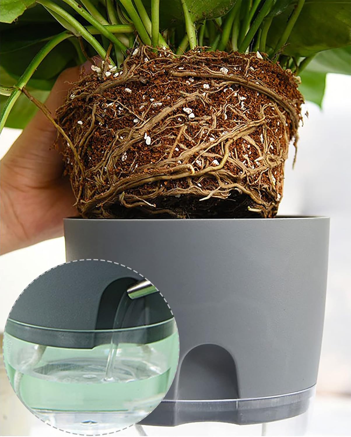 Popular Self-Watering Pots – Modern Planters with See-Through Base | Plant Mate