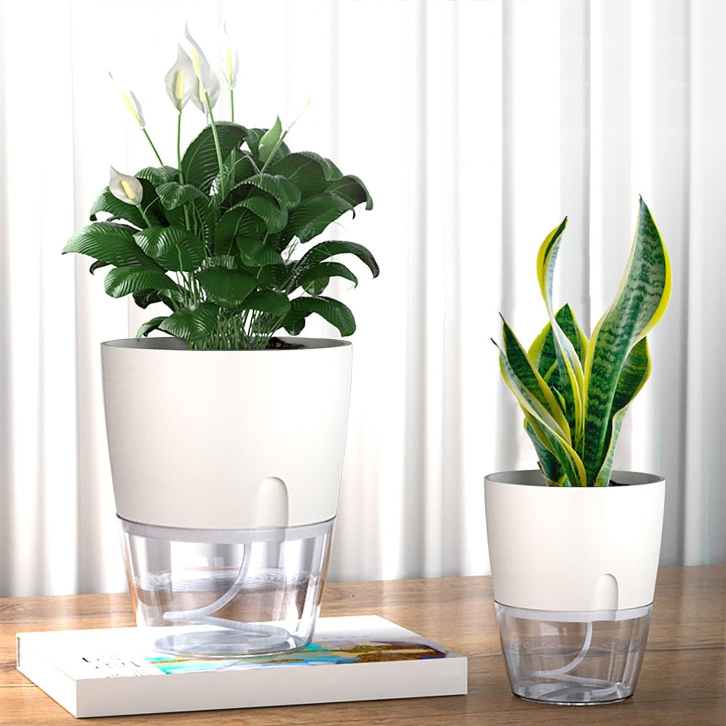 Popular Self-Watering Pots – Modern Planters with See-Through Base | Plant Mate