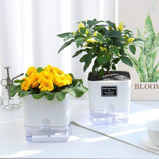 Self-Watering Pots – Clear Magnetic Base Planters with Built-In Wicking System | Plant Mate