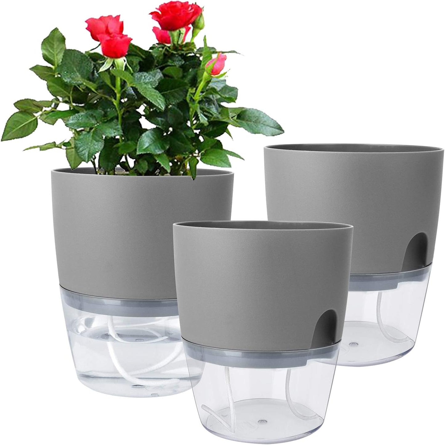 Popular Self-Watering Pots – Modern Planters with See-Through Base | Plant Mate