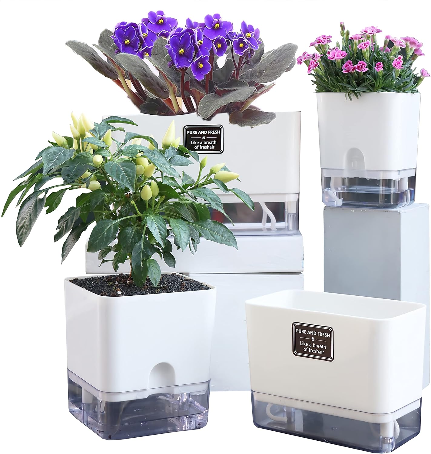 Self-Watering Pots – Clear Magnetic Base Planters with Built-In Wicking System | Plant Mate