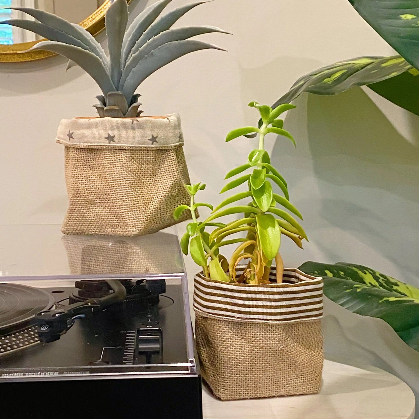 Reversible Burlap Plant Cover