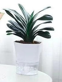 Modern Hexagon Self-Watering Plant Pot – Sylish Geometric Design | Plant Mate