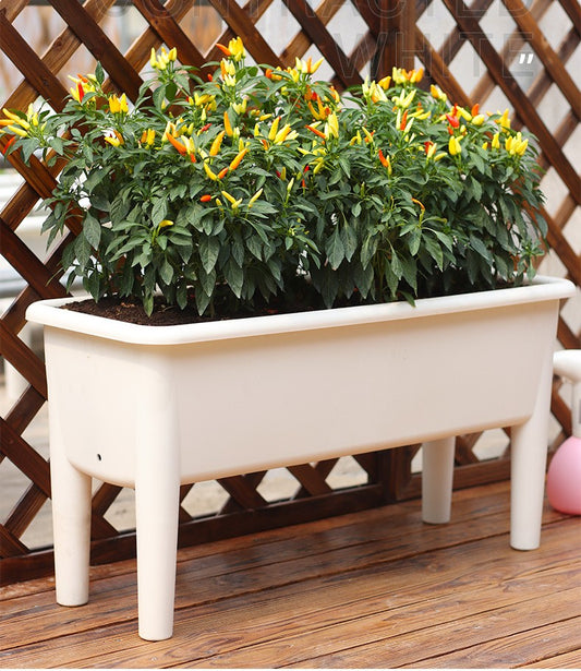 Plant Mate Self-Watering Raised Garden Bed – Smart, Stylish & Low Maintenance Gardening
