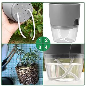 Popular Self-Watering Pots – Modern Planters with See-Through Base | Plant Mate