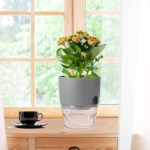 Popular Self-Watering Pots – Modern Planters with See-Through Base | Plant Mate