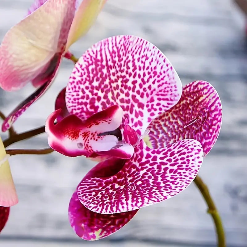 Artificial 6-Head Phalaenopsis Orchid