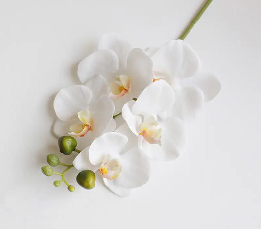 Artificial 6-Head Phalaenopsis Orchid