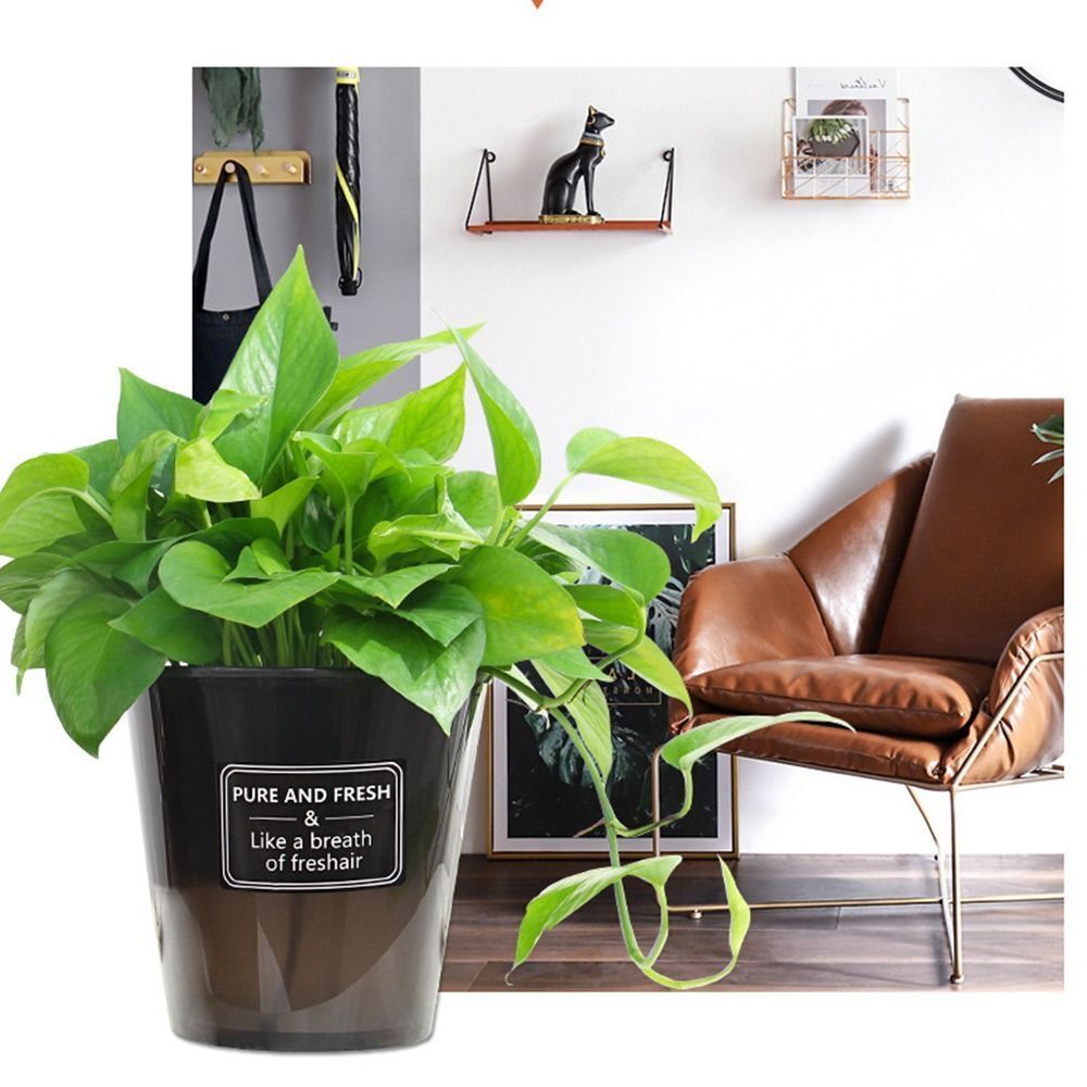 Plant Mate’s Pure & Fresh Range – Effortless Plant Care