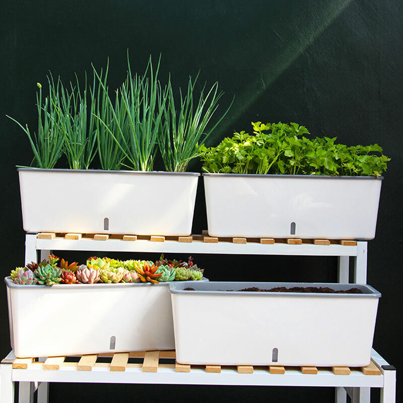 Slimline Self-Watering Planter – Outdoor Fence-Friendly Design | Plant Mate