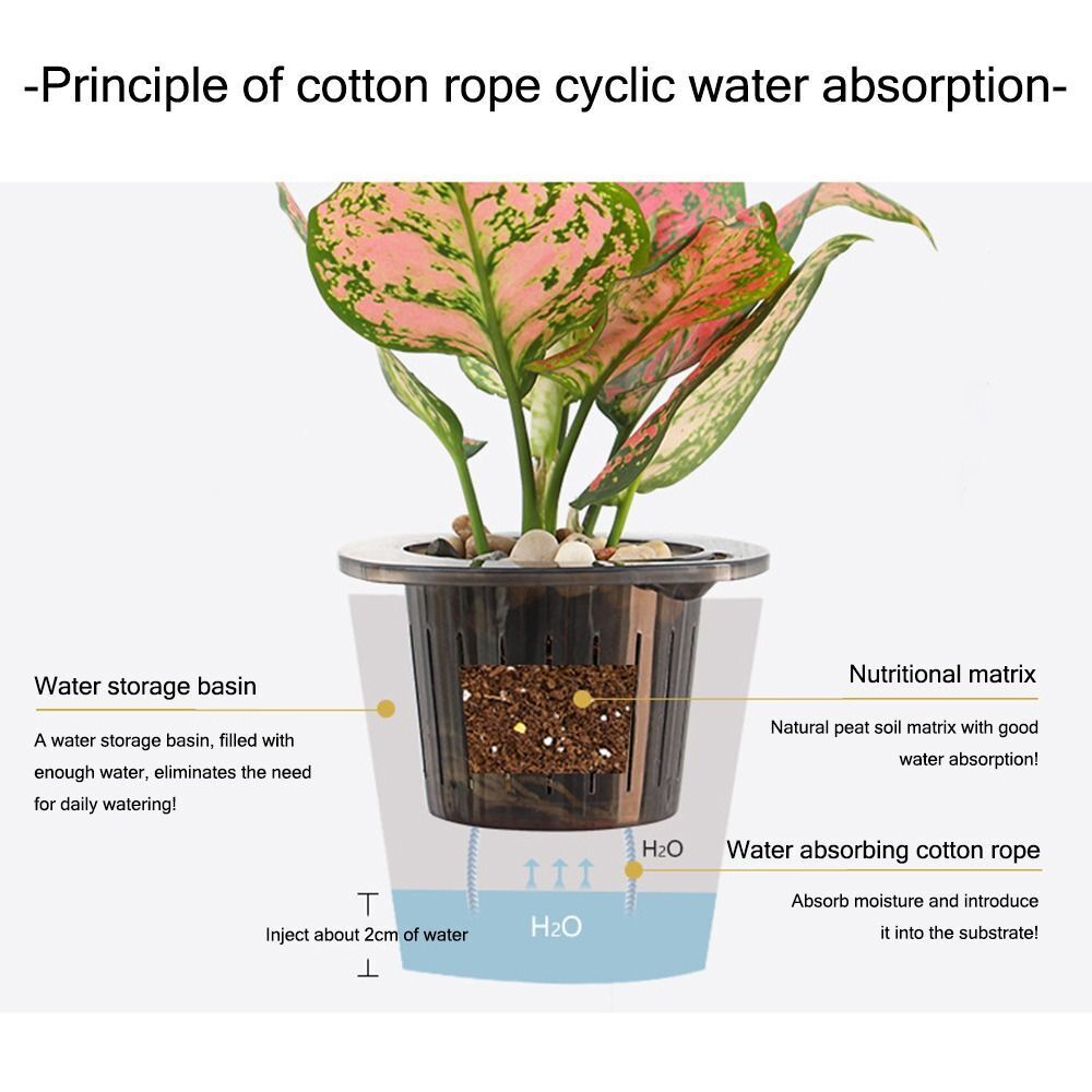 Plant Mate’s Pure & Fresh Range – Effortless Plant Care