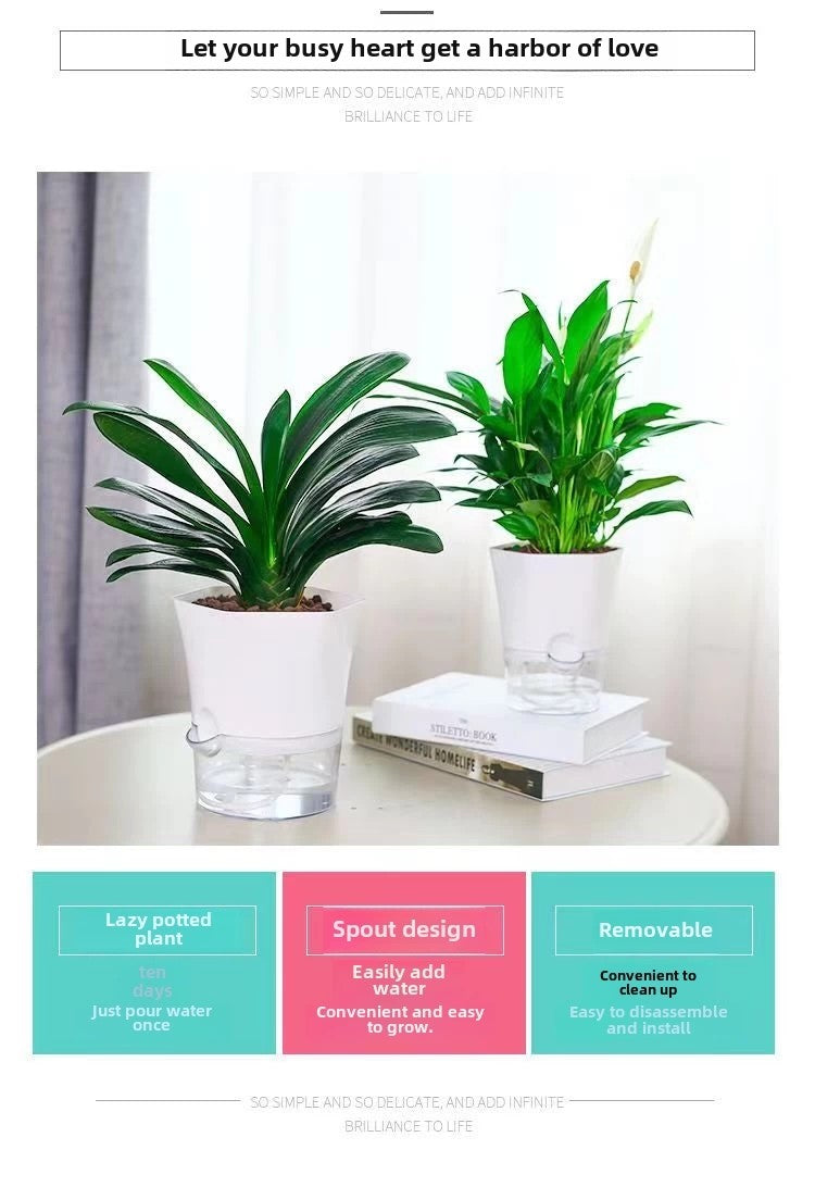 Modern Hexagon Self-Watering Plant Pot – Sylish Geometric Design | Plant Mate