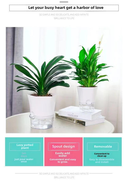 Modern Hexagon Self-Watering Plant Pot – Sylish Geometric Design | Plant Mate