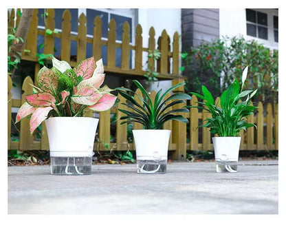 Modern Hexagon Self-Watering Plant Pot – Sylish Geometric Design | Plant Mate