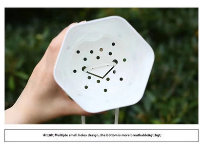 Modern Hexagon Self-Watering Plant Pot – Sylish Geometric Design | Plant Mate