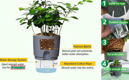 Popular Self-Watering Pots – Modern Planters with See-Through Base | Plant Mate