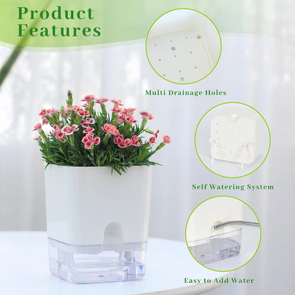 Self-Watering Pots – Clear Magnetic Base Planters with Built-In Wicking System | Plant Mate