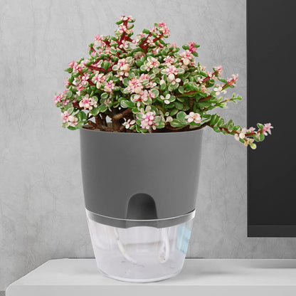 Popular Self-Watering Pots – Modern Planters with See-Through Base | Plant Mate